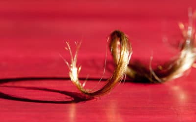 Spécial cheveux frisés