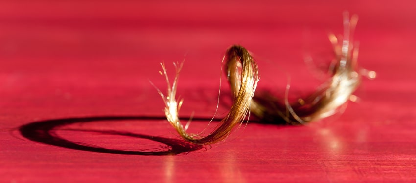 Spécial cheveux frisés