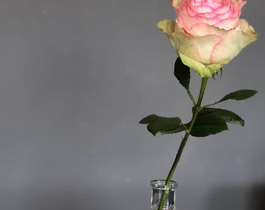 Spécial mariage